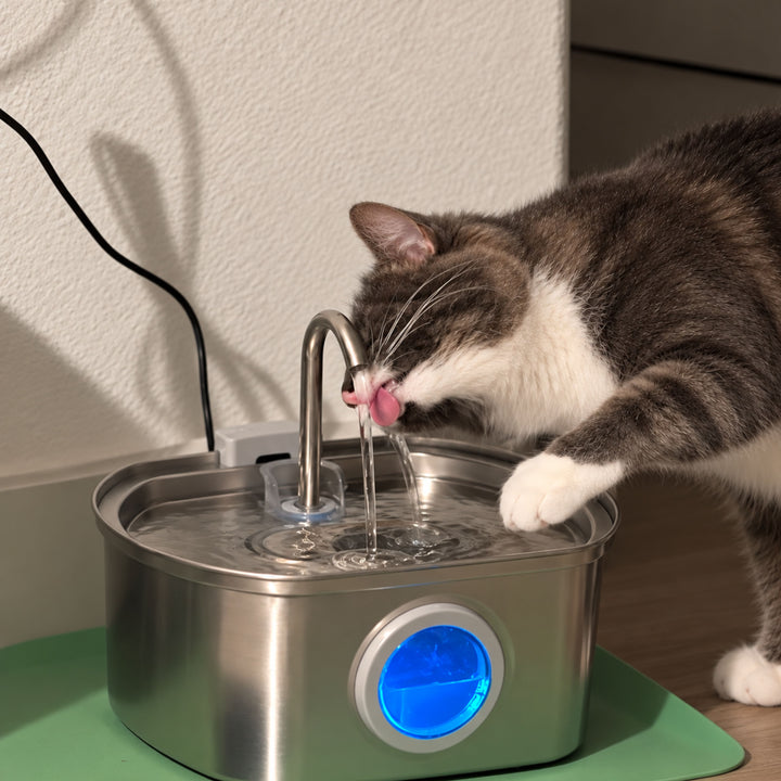 Review by Rebecca H.