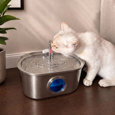 Purewild™ Stainless Steel Cat Water Fountain