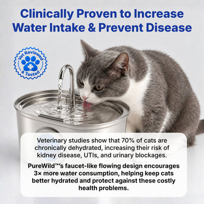 Purewild™ Stainless Steel Cat Water Fountain